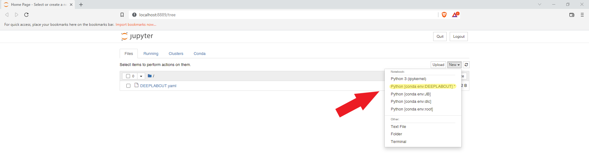DeepLabCut - A Student’s Quick Start Guide — Pigeon Super Model